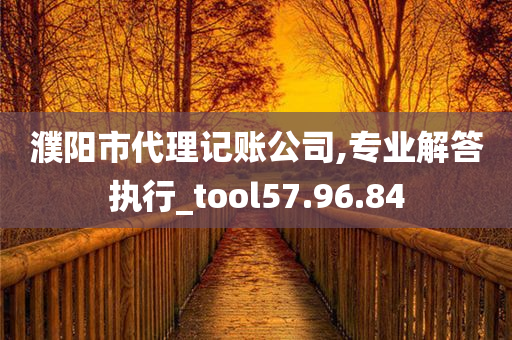 濮阳市代理记账公司,专业解答执行_tool57.96.84