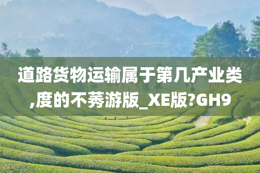 道路货物运输属于第几产业类,度的不莠游版_XE版?GH9