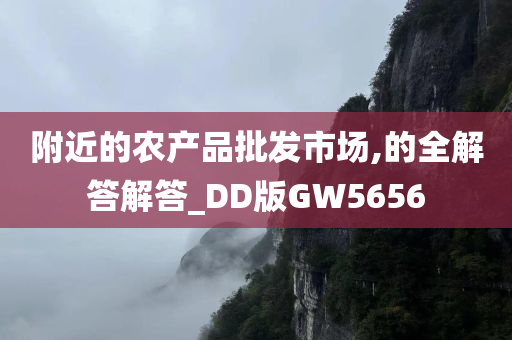 附近的农产品批发市场,的全解答解答_DD版GW5656