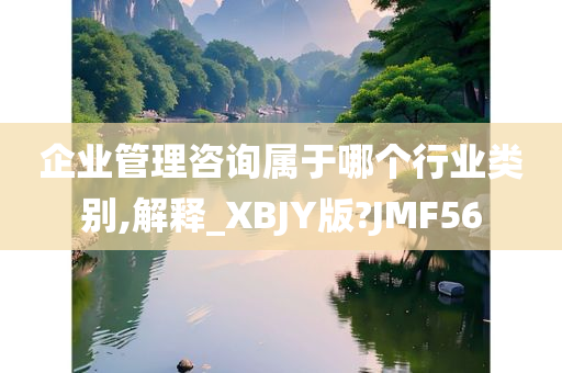 企业管理咨询属于哪个行业类别,解释_XBJY版?JMF56