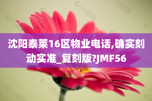 沈阳泰莱16区物业电话,确实刻动实准_复刻版?JMF56