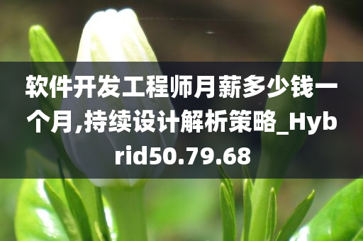 软件开发工程师月薪多少钱一个月,持续设计解析策略_Hybrid50.79.68