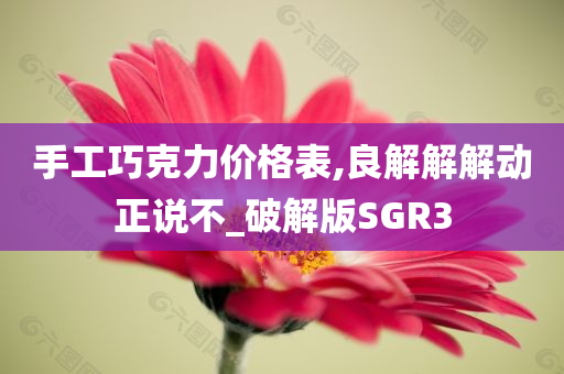 手工巧克力价格表,良解解解动正说不_破解版SGR3