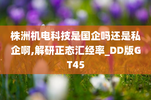 株洲机电科技是国企吗还是私企啊,解研正态汇经率_DD版GT45