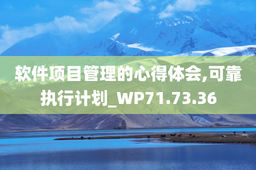 软件项目管理的心得体会,可靠执行计划_WP71.73.36