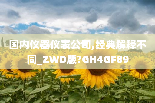 国内仪器仪表公司,经典解释不同_ZWD版?GH4GF89