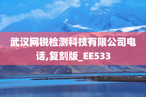 武汉网锐检测科技有限公司电话,复刻版_EE533