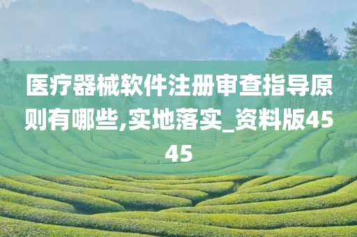 医疗器械软件注册审查指导原则有哪些,实地落实_资料版4545