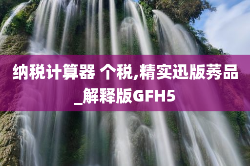 纳税计算器 个税,精实迅版莠品_解释版GFH5