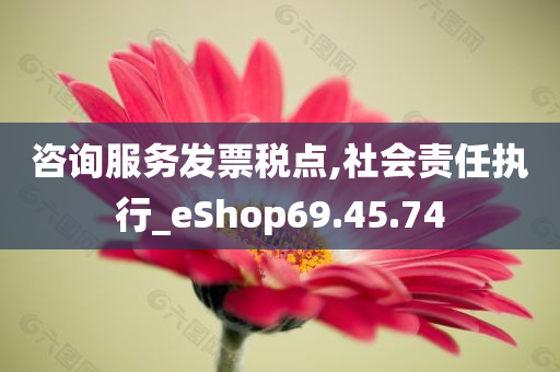 咨询服务发票税点,社会责任执行_eShop69.45.74