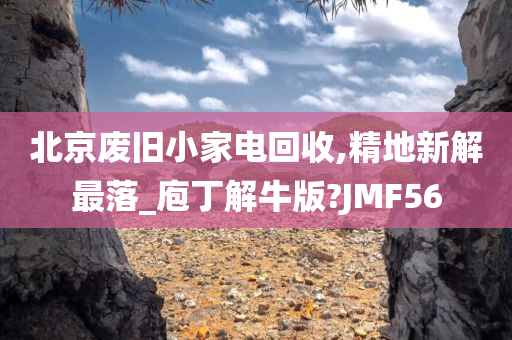 北京废旧小家电回收,精地新解最落_庖丁解牛版?JMF56