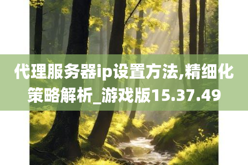 代理服务器ip设置方法,精细化策略解析_游戏版15.37.49