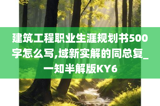 建筑工程职业生涯规划书500字怎么写,域新实解的同总复_一知半解版KY6