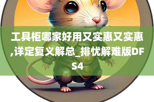 工具柜哪家好用又实惠又实惠,详定复义解总_排忧解难版DFS4