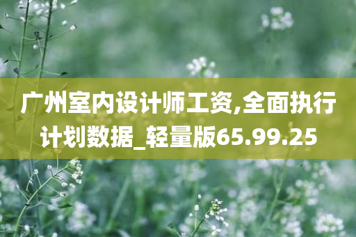 广州室内设计师工资,全面执行计划数据_轻量版65.99.25