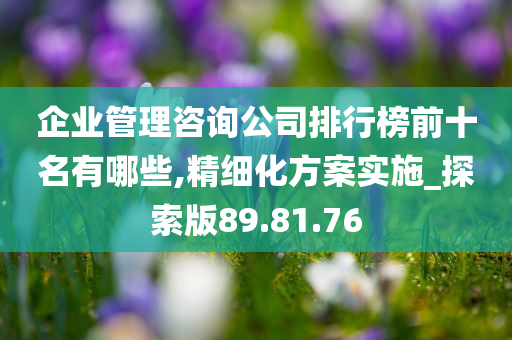 企业管理咨询公司排行榜前十名有哪些,精细化方案实施_探索版89.81.76