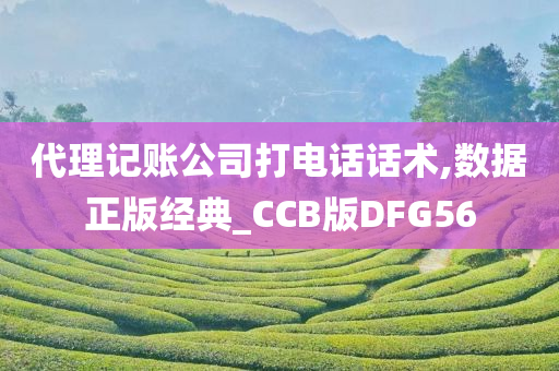 代理记账公司打电话话术,数据正版经典_CCB版DFG56