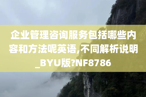 企业管理咨询服务包括哪些内容和方法呢英语,不同解析说明_BYU版?NF8786