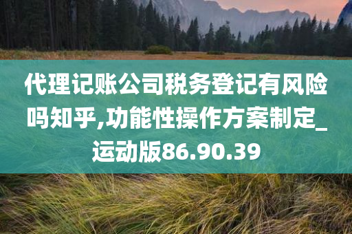 代理记账公司税务登记有风险吗知乎,功能性操作方案制定_运动版86.90.39