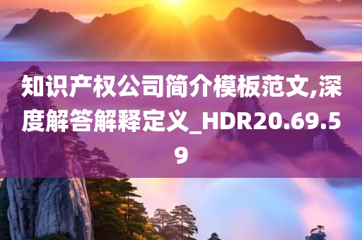 知识产权公司简介模板范文,深度解答解释定义_HDR20.69.59