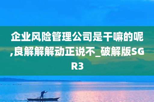 企业风险管理公司是干嘛的呢,良解解解动正说不_破解版SGR3