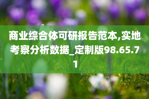 商业综合体可研报告范本,实地考察分析数据_定制版98.65.71