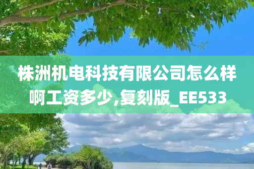 株洲机电科技有限公司怎么样啊工资多少,复刻版_EE533