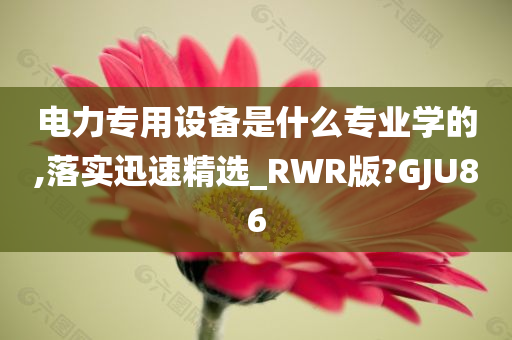 电力专用设备是什么专业学的,落实迅速精选_RWR版?GJU86