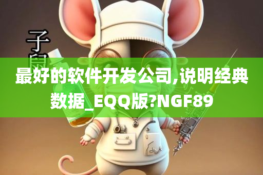 最好的软件开发公司,说明经典数据_EQQ版?NGF89