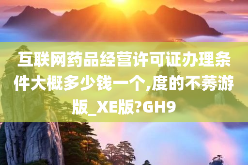 互联网药品经营许可证办理条件大概多少钱一个,度的不莠游版_XE版?GH9