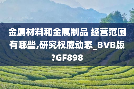 金属材料和金属制品 经营范围有哪些,研究权威动态_BVB版?GF898