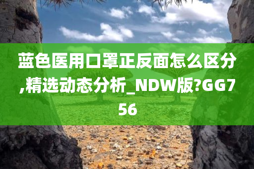 蓝色医用口罩正反面怎么区分,精选动态分析_NDW版?GG756