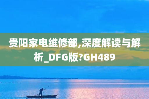 贵阳家电维修部,深度解读与解析_DFG版?GH489