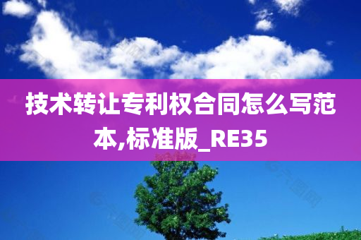 技术转让专利权合同怎么写范本,标准版_RE35