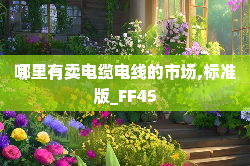 哪里有卖电缆电线的市场,标准版_FF45