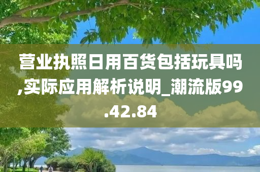 营业执照日用百货包括玩具吗,实际应用解析说明_潮流版99.42.84