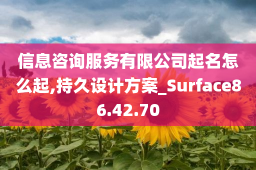 信息咨询服务有限公司起名怎么起,持久设计方案_Surface86.42.70