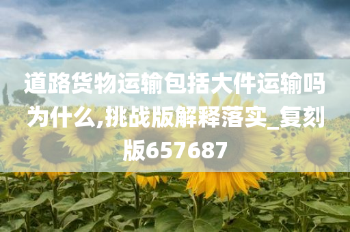 道路货物运输包括大件运输吗为什么,挑战版解释落实_复刻版657687