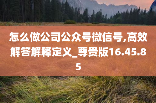 怎么做公司公众号微信号,高效解答解释定义_尊贵版16.45.85