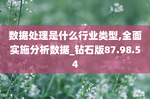 数据处理是什么行业类型,全面实施分析数据_钻石版87.98.54