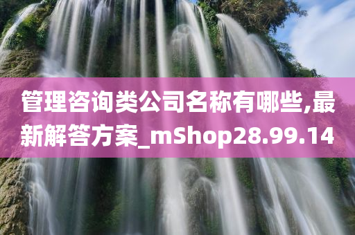 管理咨询类公司名称有哪些,最新解答方案_mShop28.99.14