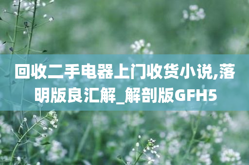 回收二手电器上门收货小说,落明版良汇解_解剖版GFH5