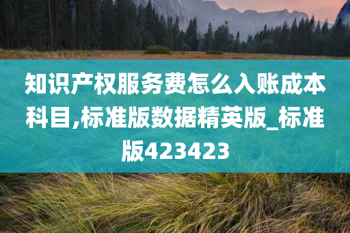 知识产权服务费怎么入账成本科目,标准版数据精英版_标准版423423