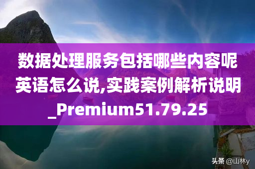 数据处理服务包括哪些内容呢英语怎么说,实践案例解析说明_Premium51.79.25