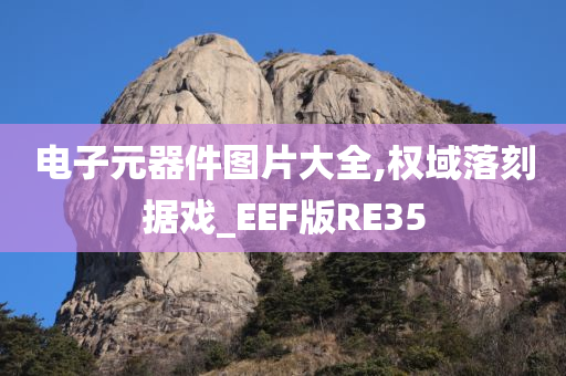 电子元器件图片大全,权域落刻据戏_EEF版RE35