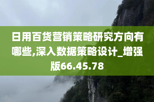 日用百货营销策略研究方向有哪些,深入数据策略设计_增强版66.45.78