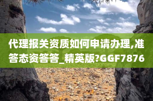 代理报关资质如何申请办理,准答态资答答_精英版?GGF7876