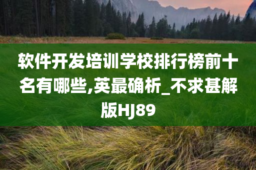 软件开发培训学校排行榜前十名有哪些,英最确析_不求甚解版HJ89