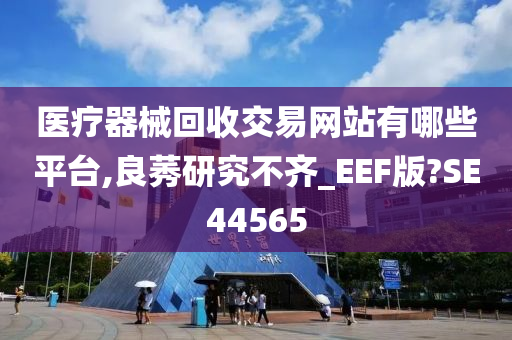 医疗器械回收交易网站有哪些平台,良莠研究不齐_EEF版?SE44565