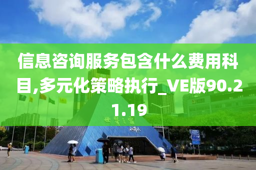 信息咨询服务包含什么费用科目,多元化策略执行_VE版90.21.19